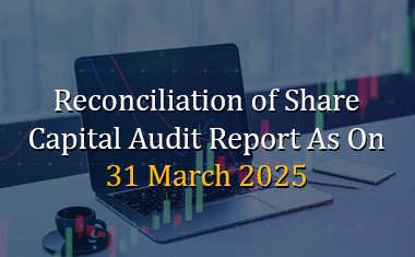 Share Capital Audit Report